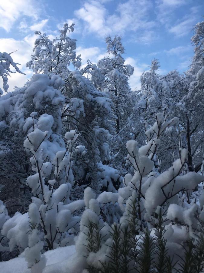 Stas-Przy Szkole Nr3 W Skawie Skawa Bagian luar foto